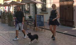 Cost of Hiring a Private Investigator