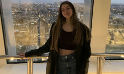 work experience   Private Investigator