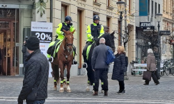 Private Detective Eradetektiiv Estonia