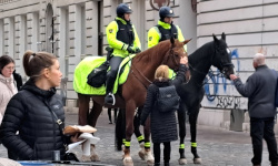 Private Detective Eradetektiiv Estonia